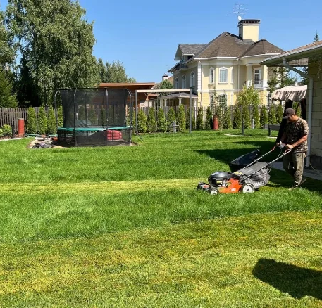 Уход за газоном (ежемесячный / сезонный)