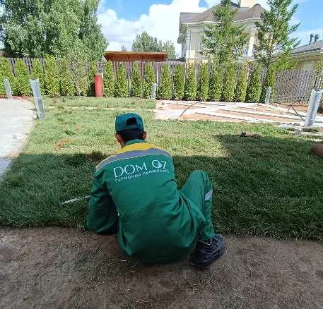 Ремонт и восстановление газона