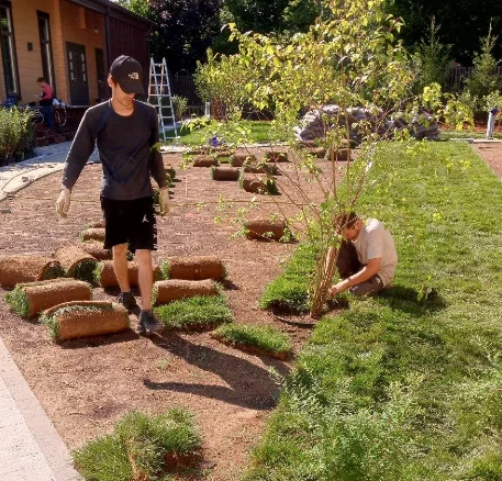 Укладка рулонного газона