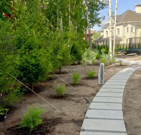 Пошаговые дорожки